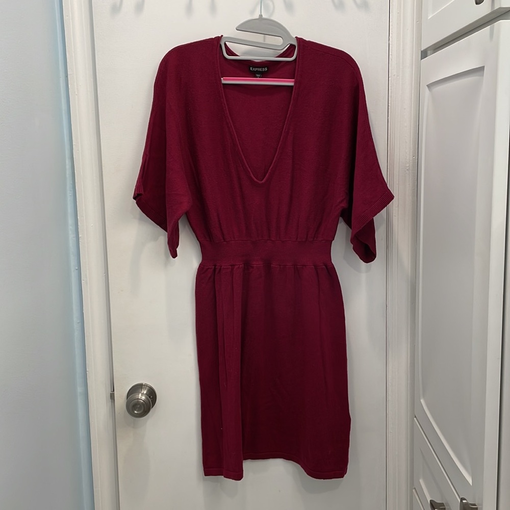 Express Plum Burgundy Low Cut V-Neck Dolman Sleeve Knee Length Sweater Dress